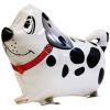 Black Spotted Dog - White Spotted Dog