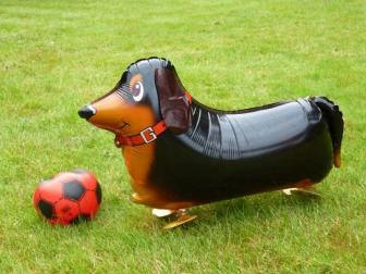 Sausage Dog